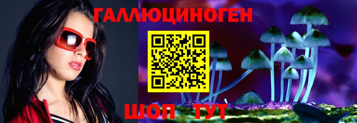 Псилоцибиновые грибы прущие грибы Краснознаменск