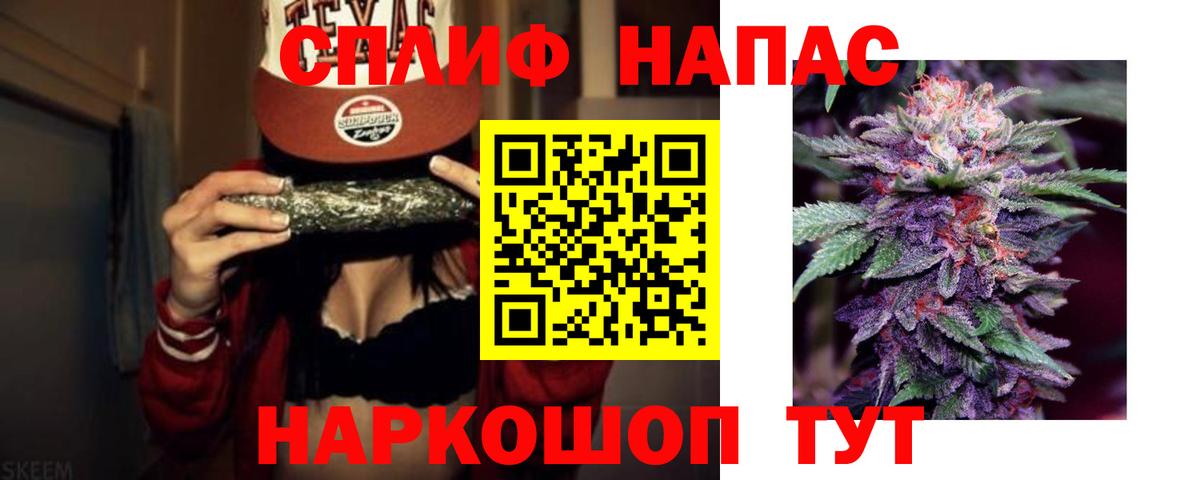 Канабис сатива Краснознаменск